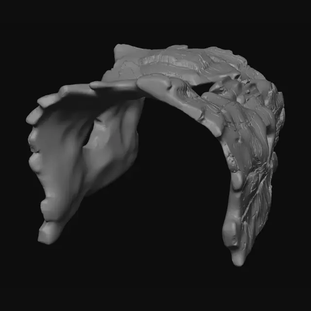 3D model for Burnt Wood Skull