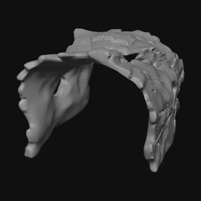 3D model for Burnt Wood Skull