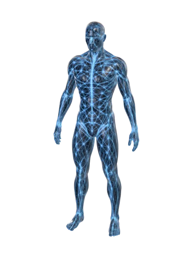 Sistema nervioso Cuerpo 3d - Humanbody 3D model, vytvořený pomocí AI