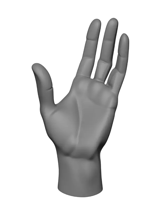 3D model for Minimalist white 3D-printed sculpture of a realistic human hand and forearm on a circular base, functioning as a headphone stand, photographed empty (no headphones).

Hand is open and relaxed, fingers slightly curled upward, spread naturally, palm angled up — NOT a closed fist. Thumb rests naturally by index finger. Wrist tapers naturally into forearm with subtle tendon/muscle detail, correct anatomical proportions, natural knuckle bulges, no elongated or flat wrist.

Top of fingers/palm forms one smooth open curve — wide, unobstructed — so a headband can rest and hang freely from above. No closed loops, no fingers wrapping around anything.

Matte white PLA texture, visible layer lines, studio photo, dark background, soft lighting, wooden desk, 3/4 angle, photorealistic.