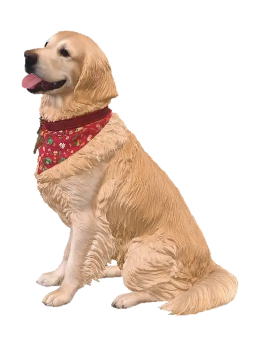 dog - Hound 3D model, vytvořený pomocí AI