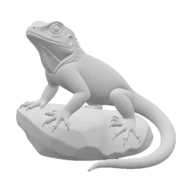 3D model for Agama_Lizard