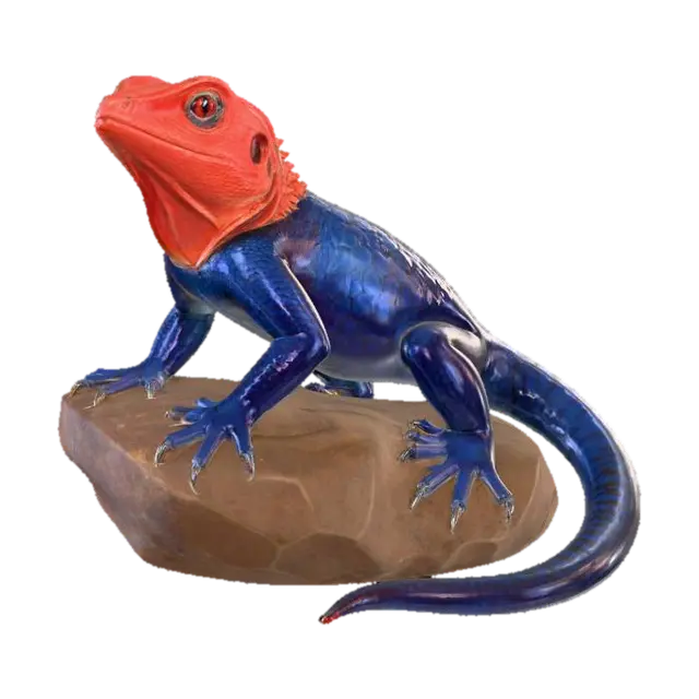 3D model for Agama_Lizard