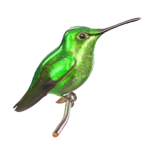 3D model for Hummingbird