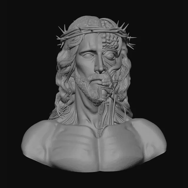 3D model for anatomical split-view