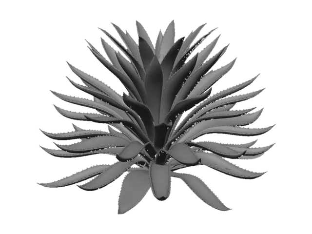 Free Agave 3D Models - Download Instantly | Meshy