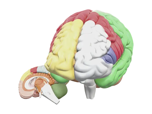 Modern Dog Brain - Experimental 3D model, AI generated