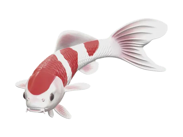3D model for Koi Fish