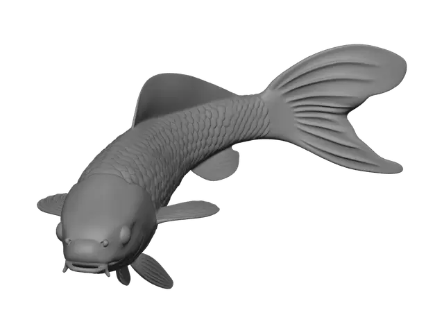 3D model for Koi Fish
