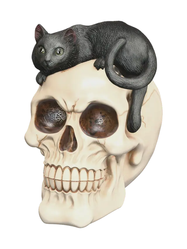 3D model for Weathered Cat Skull