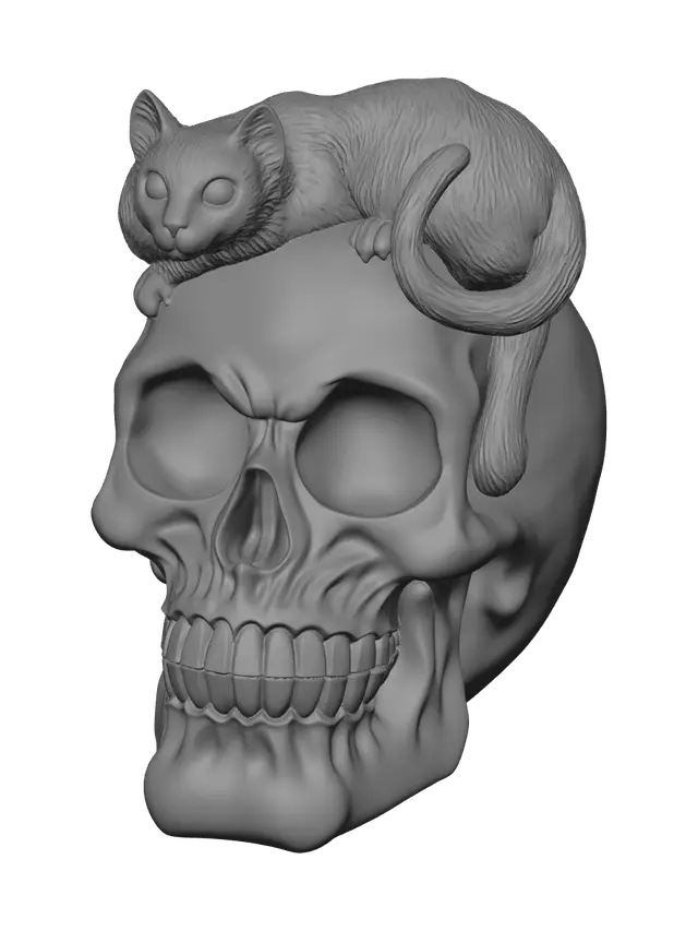 3D model for Weathered Cat Skull