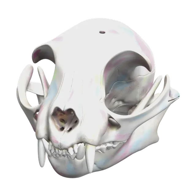 Modello 3D Low-Poly Cat Skull - Cathead, generato dall’IA