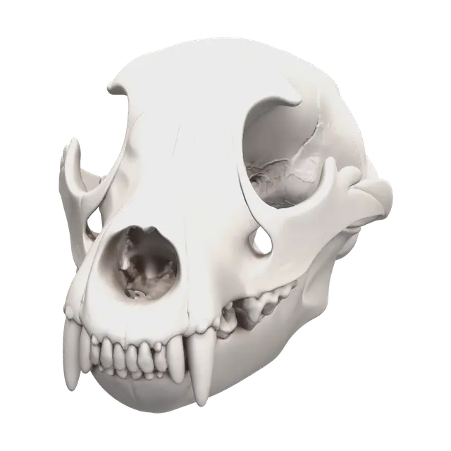 Low-Poly Bear Skull - Bearskull 3D model, vytvořený pomocí AI