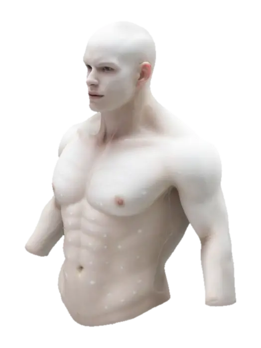 Male fit torso 3D model, vytvořený pomocí AI