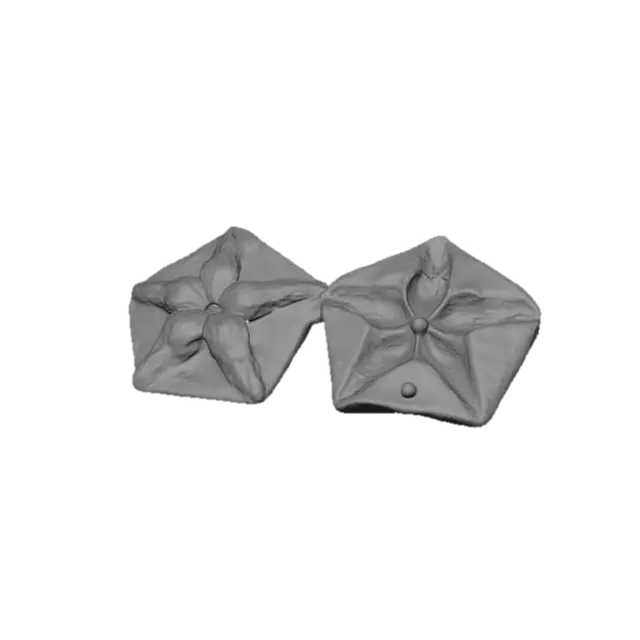 3D model for Starflower Soap