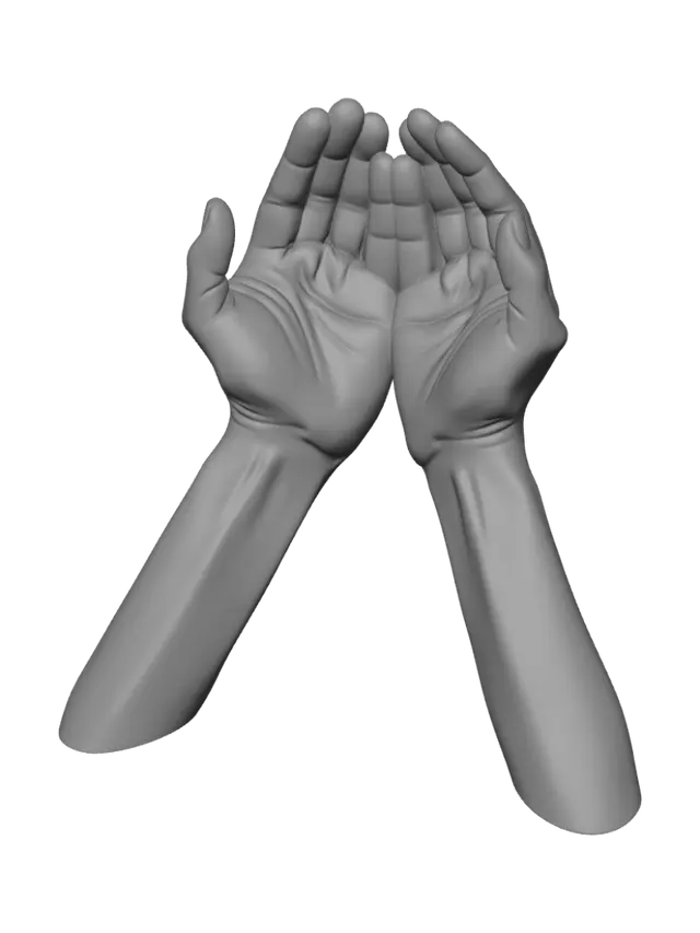 3D model for Two cupped human hands held together side by side, palms facing upward, forming a bowl shape as if holding water or light. Empty palms, fingers gently curved, realistic adult hands, smooth skin, neutral resting pose, no jewelry, no sleeves or arms visible, just the hands themselves. Symmetrical, calm, centered composition.