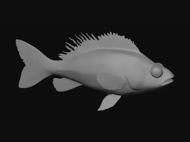3D model for beautiful realistic ultradetailed hd ocean open sea fish
