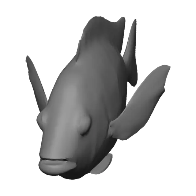 3D model for 
fish