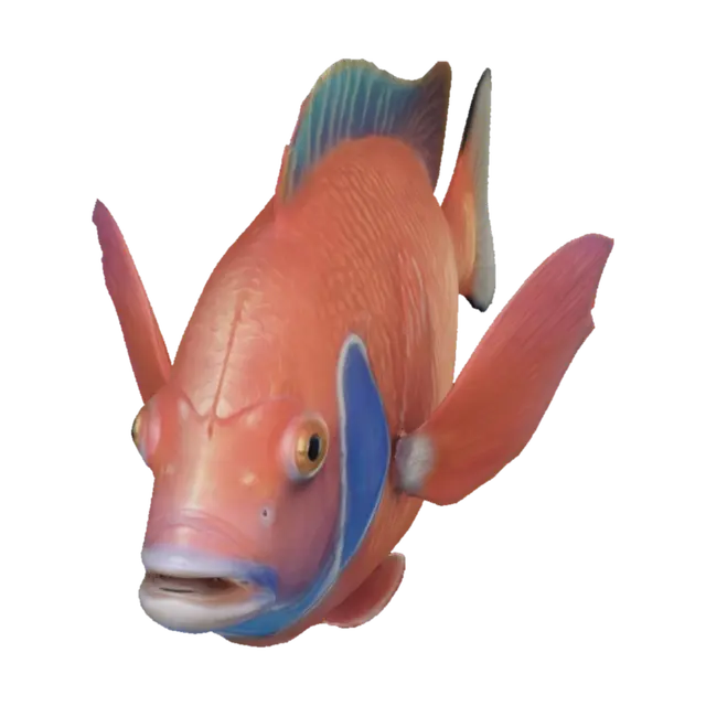 3D model for 
fish