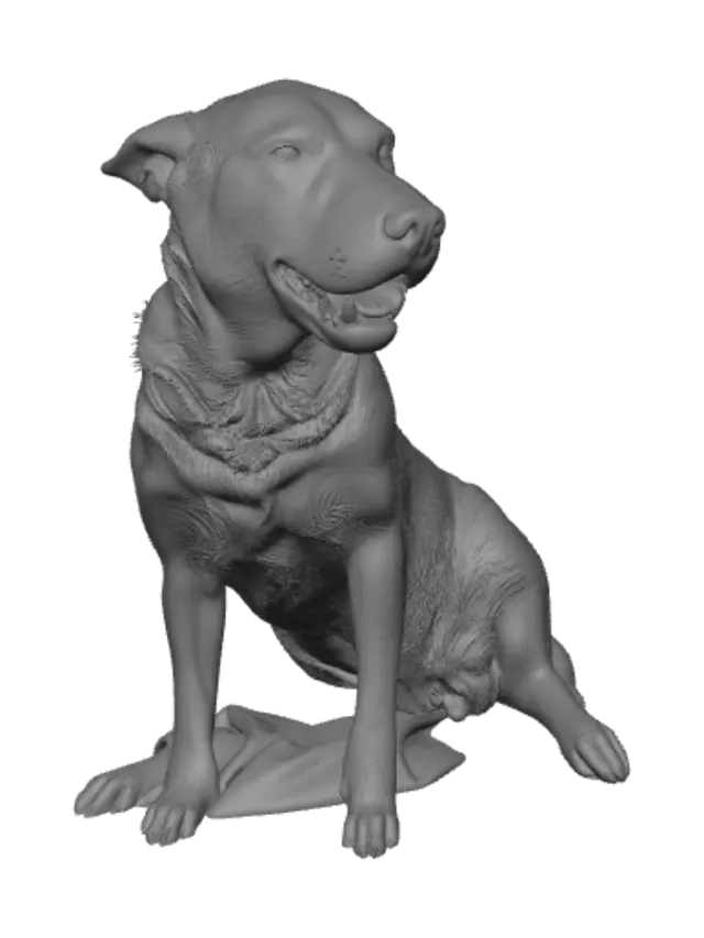 3D model for Sunny Window Smile