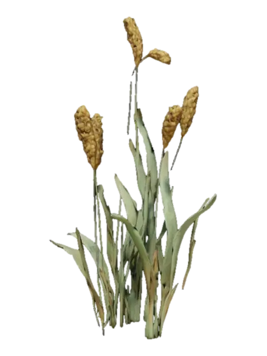 Generate me the model of a wheat plant - 3dasset 3D model, vytvořený pomocí AI