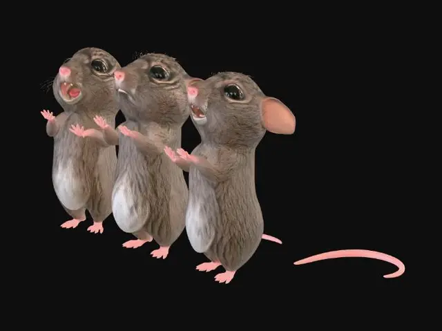 3D model for Three Tiny Mice in a Row