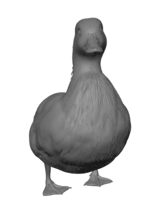 3D model for Snowy Duck by the Water