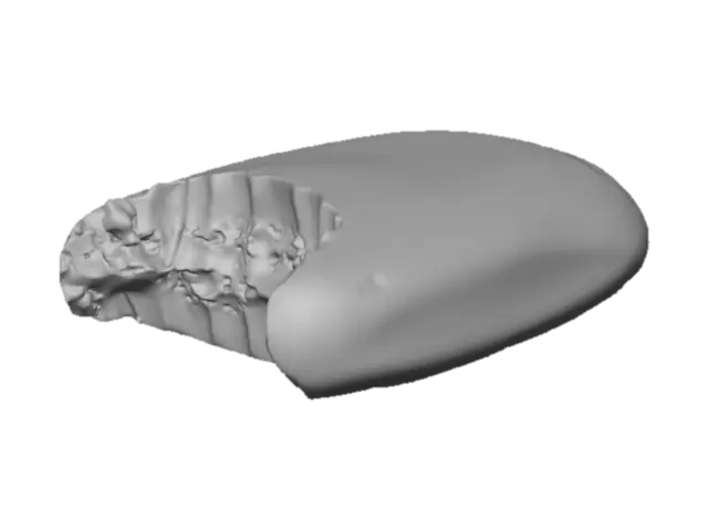 3D model for a bite-marked soap