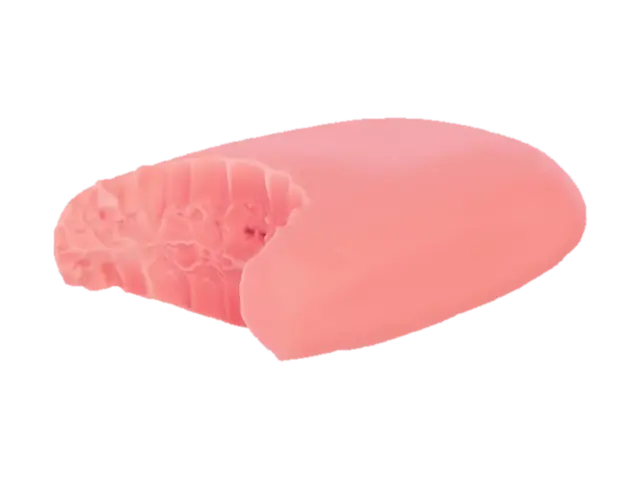 3D model for a bite-marked soap