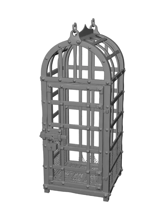 3D model for cage1