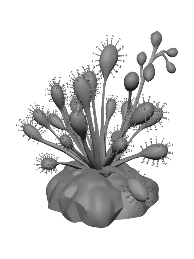 3D model for Low-Poly Sundew Garden