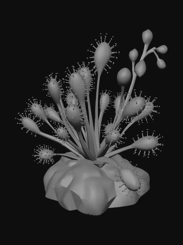 3D model for Low-Poly Sundew Garden