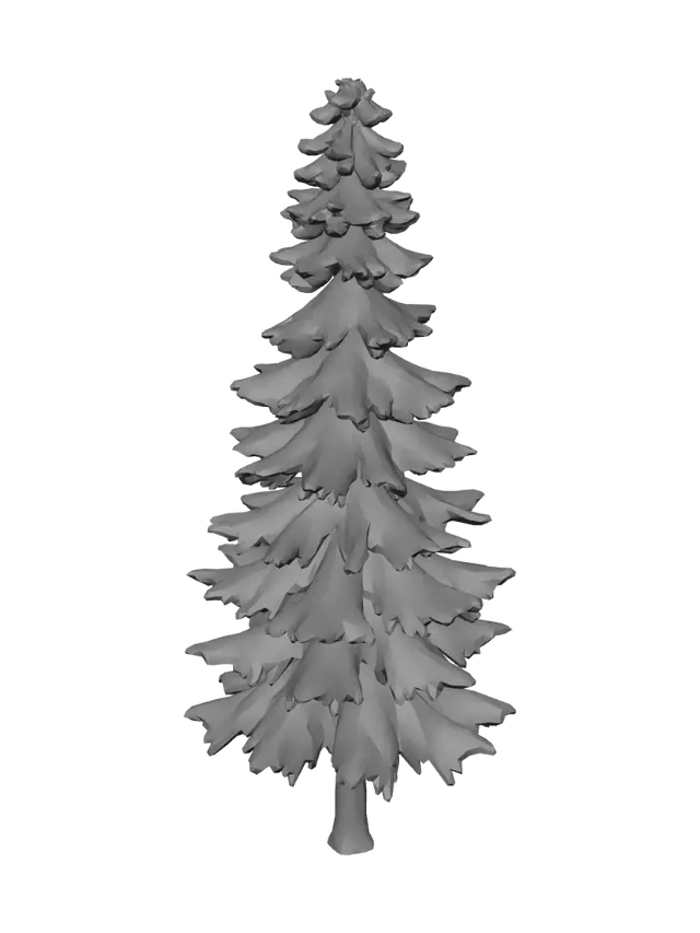 3D model for Tall Evergreen