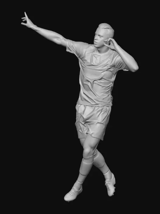 3D model for Sky Blue Celebration