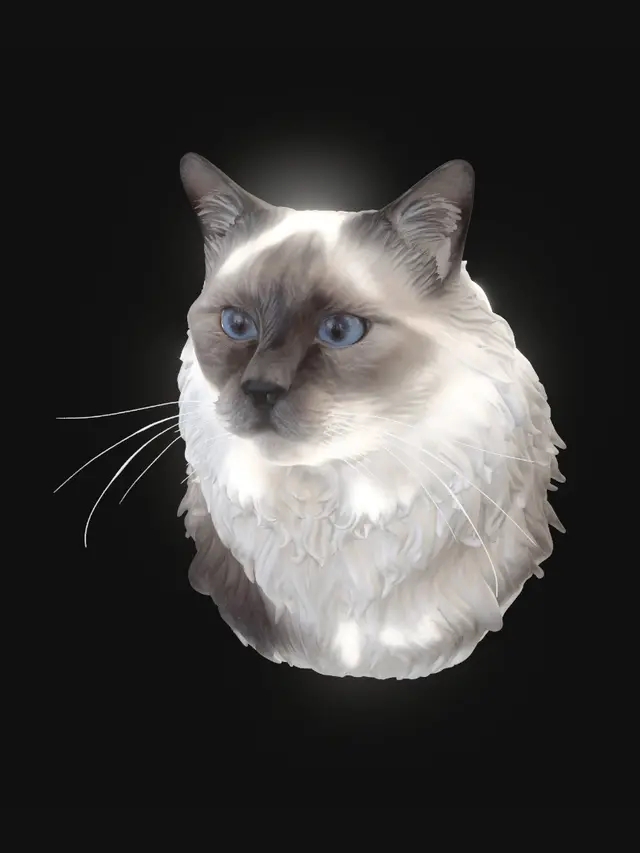 3D model for Blue-Eyed Kitten