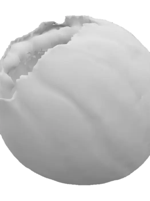 3D model for Deku Nut 4k HD brown shell with orange inside 