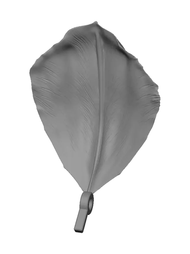 3D model for Petal Key