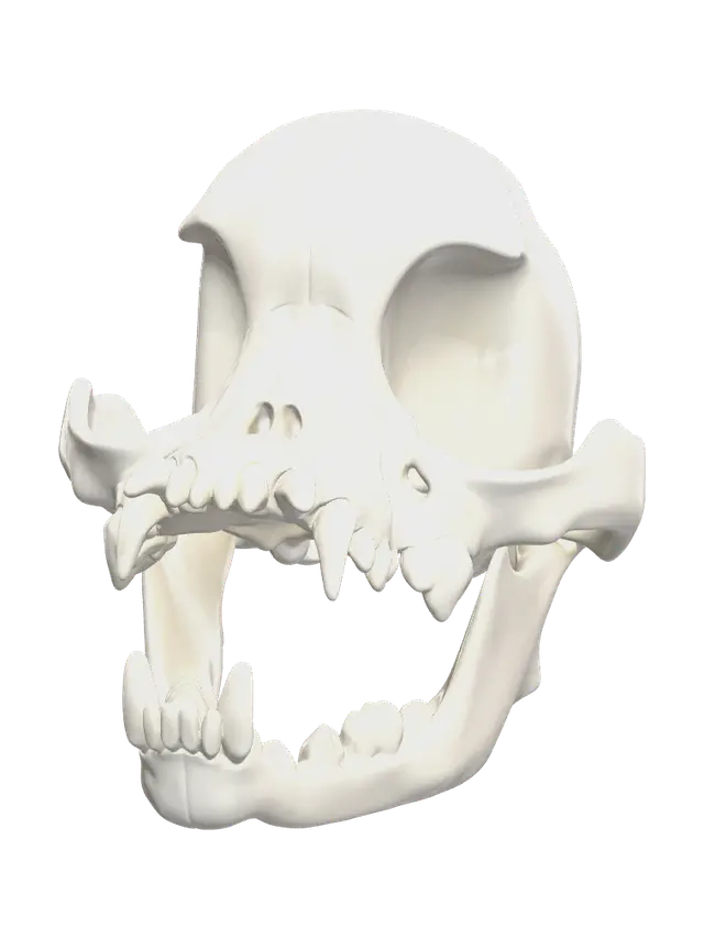 Weathered Pug Skull - Gallery 3D model, vytvořený pomocí AI