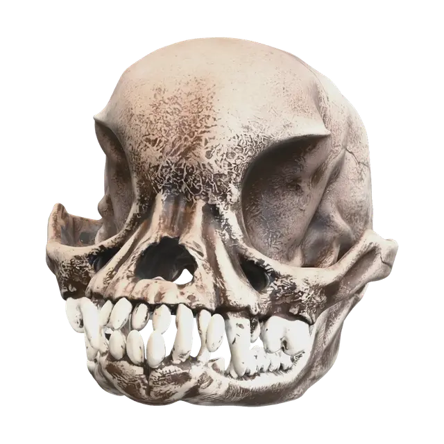Modern Pug Skull - Bb-3D-modell, genererad av AI