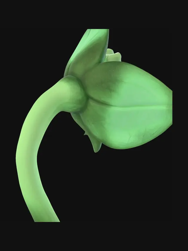 3D model for Emerald Sproutling