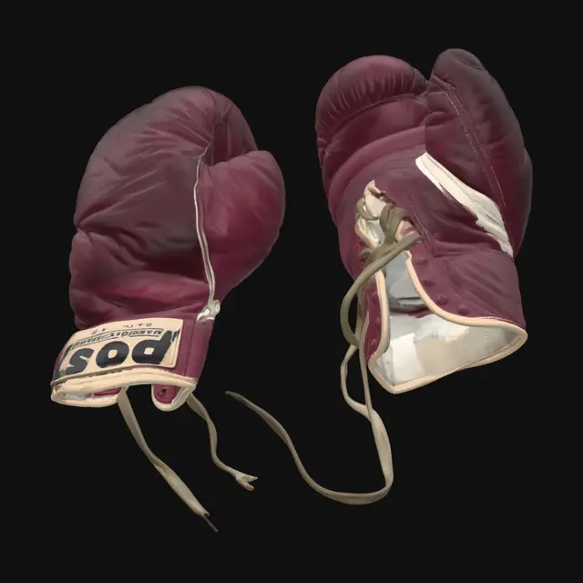 3D model for Timeworn Boxing Gloves