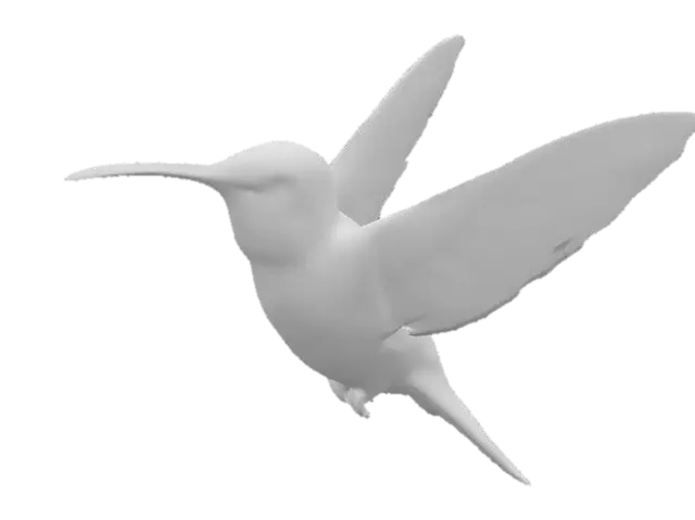 3D model for A simple Hummingbird, detailed