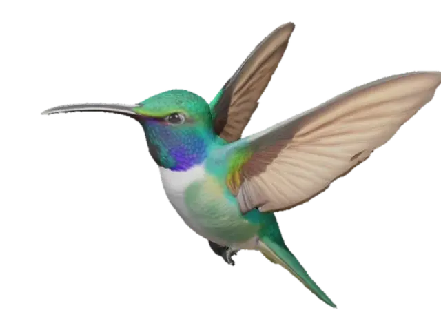 3D model for A simple Hummingbird, detailed