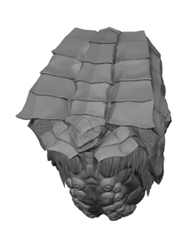 3D model for Gatanozoa Final Draft