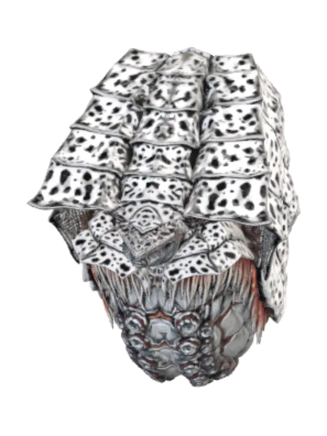 3D model for Gatanozoa Final Draft