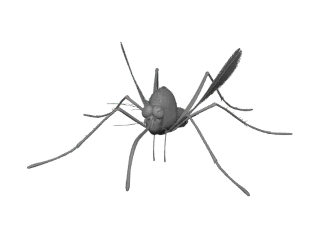 3D model for 