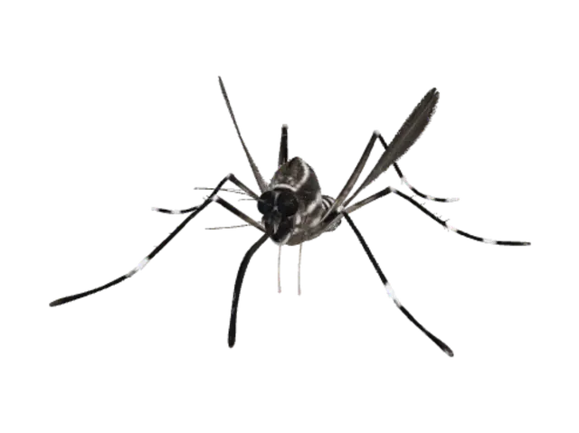 3D model for 