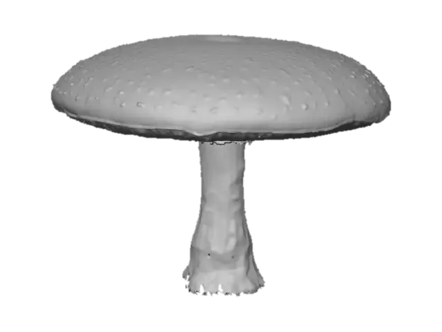 3D model for Forest Giant