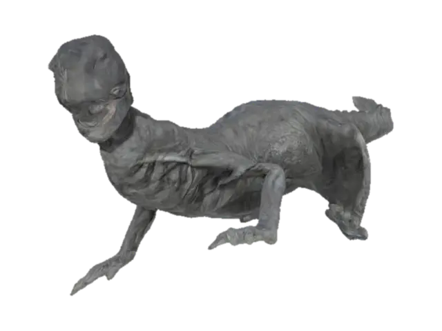 jake the alligator boy - Ribs 3D model, vytvořený pomocí AI