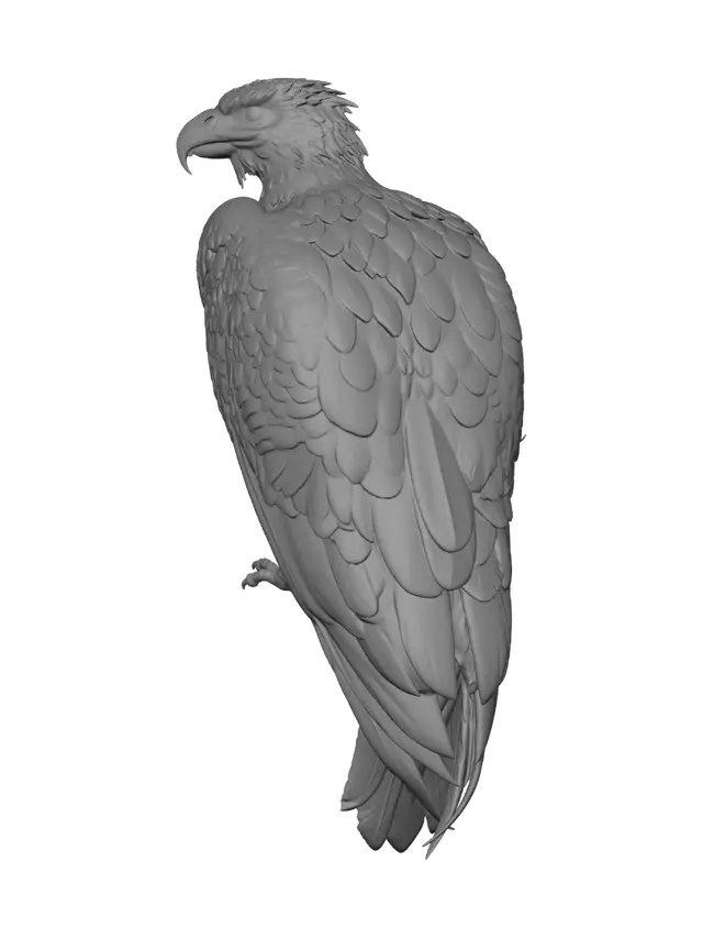 3D model for Bald Eagle in a Green Enclosure